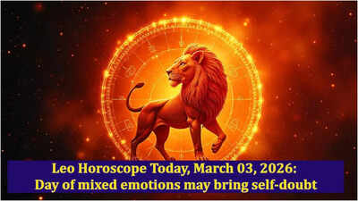 1772488911 toi image 4