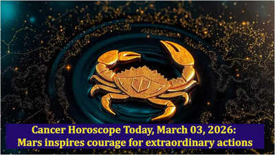 1772554629 toi image 3