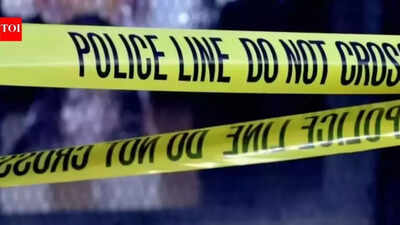 1773490519 representative image