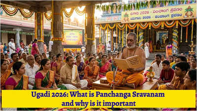 1773837434 toi image