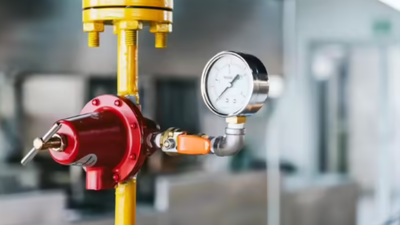 1774535798 representative image