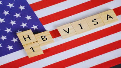 h 1b visa employers database goes offline