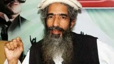 let co founder amir hamza file photo