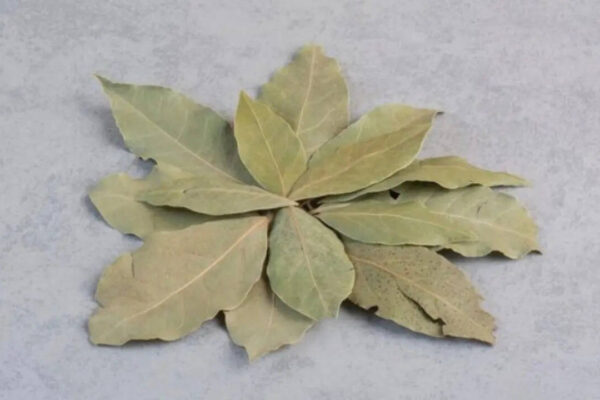 msid 130062393imgsize 36098.cms