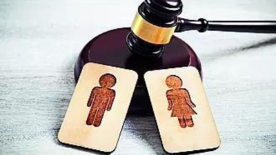 article 91