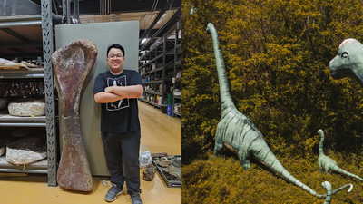 hidden beneath thailand for 113 million years researchers discover a 90 foot long giant dinosaur in southeast asia