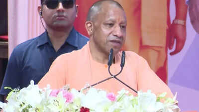 the chief minister added that people could instead buy a flower pot themselves maintain dignity and contribute to keeping cities beautiful