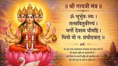 1782369389 toi image