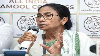 mamata 2