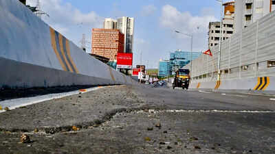 mrinal tai gore flyover photo credit uma kadam