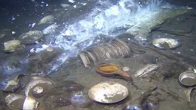 parts of the massive porcelain find