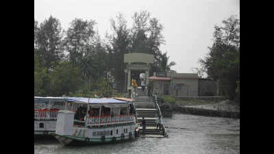 sdc11356jpg
