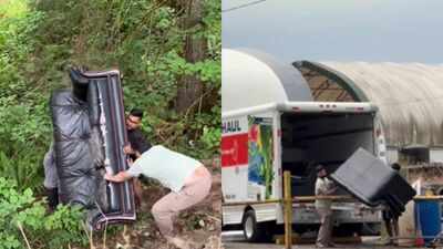 watch canadian man chases three indians after they dump sofa in the forest makes them dispose it properly
